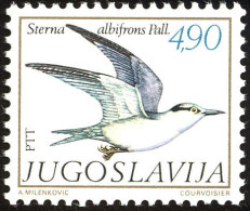 Yugoslavia 1980 (AVE191) (MNH)  (Mi 1836) - Little Tern (Sternula Albifrons) - Gaviotas