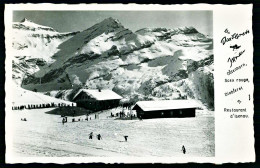 A65  SUISSE CPA  LES DIABLERETS - PERLE DES ALPES VAUDOISES - Collezioni E Lotti