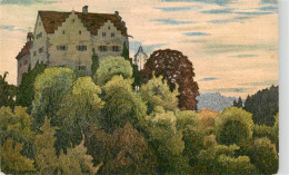 13908473 Ermatingen Schloss Salenstein Kuenstlerkarte - Altri & Non Classificati
