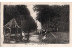 (80) 696, Bois De Cise, Leveque, L'Avenue Du Bois - Bois-de-Cise