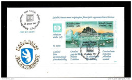 GROENLANDIA - GRONLAND - GREENLAND - BUSTA PRIMO GIORNO - FDC FIRST DAY COVER - POLAR BIRDS 1987 - FDC