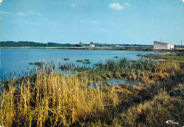 82 - Montech - La Pisciculture - Montech