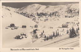 E1333) PLANNERALM Mit Plannereck - Steiermark - Verschneite Häuser - Gel. DONNERSBACH 1951 - Donnersbach (Tal)