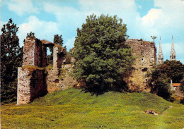 44 - Machecoul - Le Château De Barbe Bleu - Machecoul