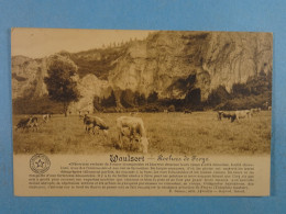 Waulsort Rochers De Freyr - Hastière