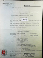 1949 REVENUE / MARCHE CONSOLARI SVIZZERA Su Documento Consolare - S6132 - Fiscali