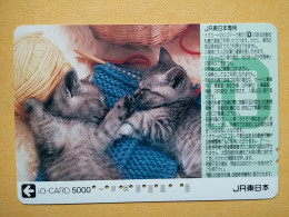 T-548 - JAPAN, Japon, Nipon, Carte Prepayee, Prepaid Card, CARD, - Autres & Non Classés