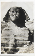 THE SPHINX, EGYPT. UNUSED POSTCARD    Ph9 - Sfinge