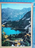 Kov 407-2 - PIRIN,, BULGARIA, EZERO, LAKE, ERIE - Bulgarie