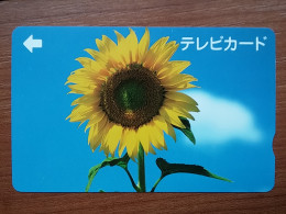 T-551 - JAPAN, Japon, Nipon, Carte Prepayee, Prepaid Card, CARD,  - Altri & Non Classificati