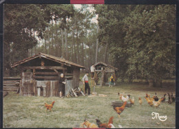 40 - Sous Les Chênes Le Poulailler Et La Cabane Du Cochon - ( Avec Le Concours De Bouheyriens ) - Aquitaine