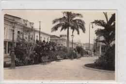 Guayaquil. Parque Montalvo. * - Ecuador