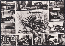 40 - Souvenir Des Landes - Aquitaine