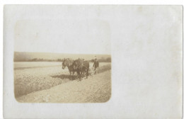 45   AGRICULTURE  CARTE  PHOTO - Autres & Non Classés