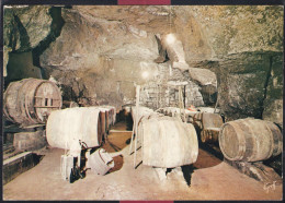 41 - Une Cave Creusée Dans La Pierre, Où Vieillit Lentement Le Bon Vin - Centre-Val De Loire