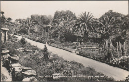 The Abbey Gardens, Tresco, Scilly, 1949 - James Gibson RP Postcard - Scilly Isles