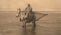 OOSTDUINKERKE   PECHEUR AU RETOUR   2 SCANS - Oostduinkerke