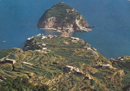 CARTOLINA  ISOLA DI ISCHIA,NAPOLI,CAMPANIA-S.ANGELO-PANORAMA-MARE,VACANZA,SPIAGGIA,LUNGOMARE,BELLA ITALIA,VIAGGIATA 1967 - Nuoro