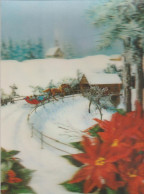 Winter - Snow - Horse-drawn Sleigh - Poinsettia - Slege - 3D - Stereoscopique - Stereoskopie