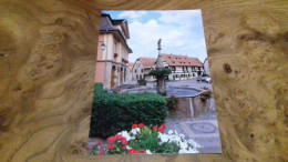 197 /   DAMBACH LA VILLE FONTAINE DE L OURS DITE STOCKBRUNNEN - Dambach-la-ville