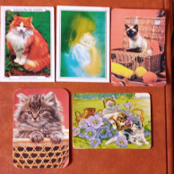 5 Calendriers De Poche, Animaux, Chats - Small : 1981-90