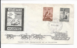 Motiv Tiere - Pinguin / Sturmvgel Auf Brief 1970 Von Expedition Antarctica Argentinien - Pinguïns & Vetganzen