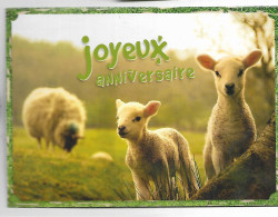 CARTE LETTRE JOYEUX ANNIVERSAIRE + ENVELOPPE - BREBIS - Anniversaire