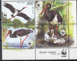 Poland 2005 (AVE020) (MNH) (Mi 597-600)- Black Stork (Ciconia Nigra) - Picotenazas & Aves Zancudas