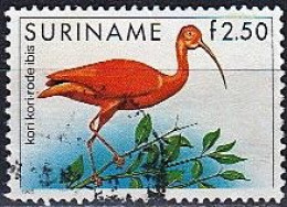 Suriname 198 (AVE209) (USED) (Mi 1148) - Scarlet Ibis (Eudocimus Ruber) - Picotenazas & Aves Zancudas