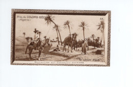 Chromo Algérie N°38 COLOMB-BECHAR Didactique Au Dos TB Neuve Colonies Françaises - Suchard