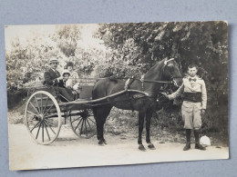 Carte Photo , Attelage à Cheval , Militaire - Other & Unclassified