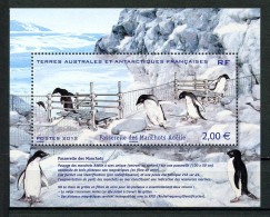 TAAF 2012  N° F638 ** Neuf MNH Superbe C 8 € Faune Manchots Oiseaux Birds Fauna Animaux Passerelle - Ungebraucht