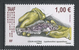 TAAF 2013  N° 641 **  Neuf  MNH Superbe Faune Poissons Colin Fishes Fauna Animaux - Ungebraucht