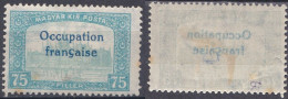 Arad Occupation Française En Hongrie N°19 Palais (K7) Surcharge Imprimée  Recto-verso - Unused Stamps