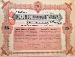 The Kokumbo (Ivory Coast) Company Limited (1919) - Autres & Non Classés
