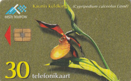 PHONE CARD ESTONIA  (H28.4 - Estonia