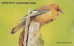 PHONE CARD COREA SUD  (H31.8 - Korea, South