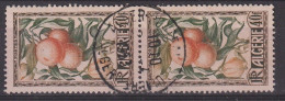 ALGERIE YT 281  Oblitéré En Duo ALGER 1953 - Used Stamps