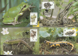 België 2000, Maximum Card, WWF, Reptiles And Amphibians - 1991-2000