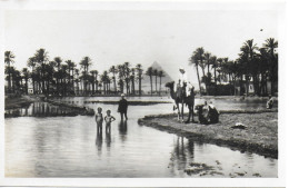 LANDSCAPE NEAR THE PYRAMIDS, EGYPT. UNUSED POSTCARD   Ms8 - Pyramids