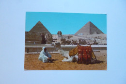 GIZA  -  The Sphinx And The Pyramids   -  EGYPTE -  EGYPT - Gizeh