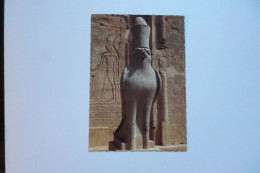 EDFOU  -  EDFU  -  Statue Of God Horus    -  EGYPTE -  EGYPT - Edfou
