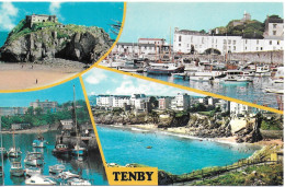 TENBY, PEMBROKESHIRE WALES. UNUSED POSTCARD   Hold 9 - Pembrokeshire