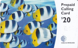 BERMUDA ISL. - Fish, Cable & Wireless Prepaid Card $20, Used - Bermuda