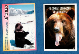 ANIMAUX :  OURS - Lot 10 Cartes Postales - - Ours