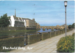 THE AULD BRIG, AYR, AYRSHIRE, SCOTLAND. USED POSTCARD   Hold 10 - Ayrshire