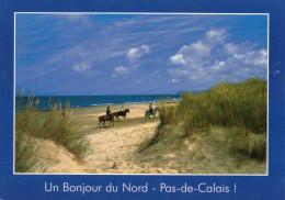 CPM GRAND FORMAT 1 - UN BONJOUR DU NORD PAS DE CALAIS ! - CHEVAUX AU CAP BLANC NEZ - Nord-Pas-de-Calais