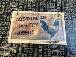 1-1-2024 (4 W 5) Australia Stamp Pack - Poultry Breeds (3 Stamps + 1 Mini Sheet) Chicken - Presentation Packs