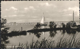 42106476 Steinhuder Meer Panorama Insel Wilhelmstein Blumenau - Steinhude