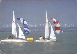72329624 Segeln Segelboote Balaton   - Sailing